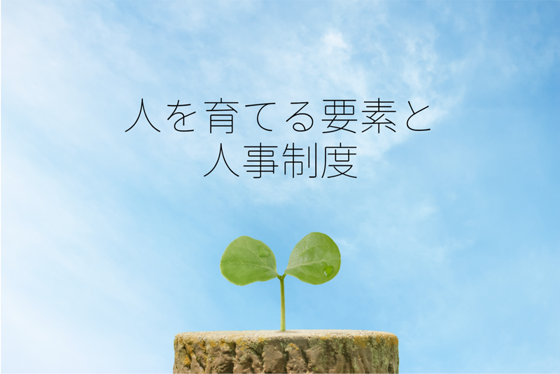 人を育てる要素と人事制度との関連性について