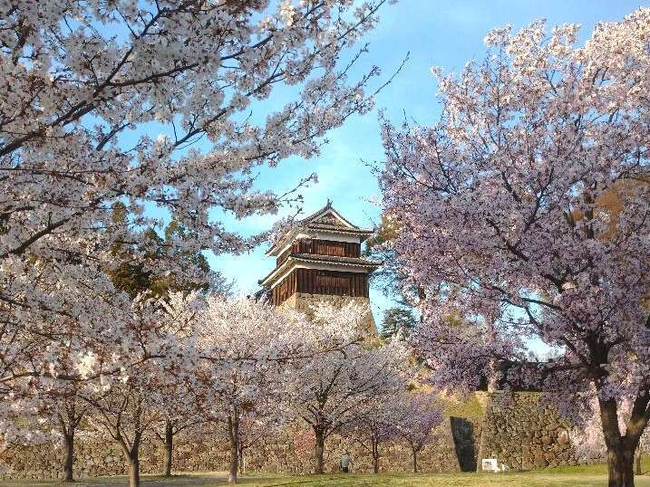 出張記録（2023年4月）